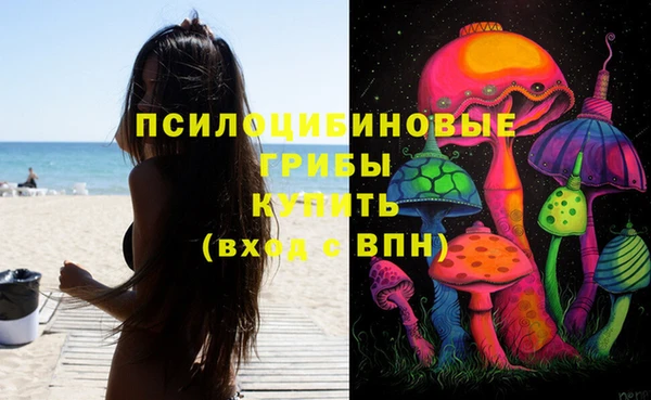 бутират Верея