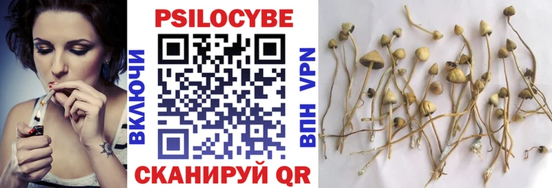 Псилоцибиновые грибы Magic Shrooms  Заозёрск 
