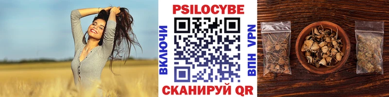 Галлюциногенные грибы мицелий Заозёрск