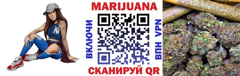 как найти Заозёрск Канабис сатива